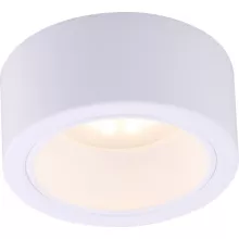 Arte Lamp A5553PL-1WH Накладной светильник ,кафе,ресторан,ванная,кухня